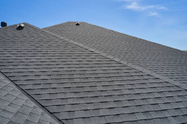 Best Skylight Installation and Repair  in Niceville, FL